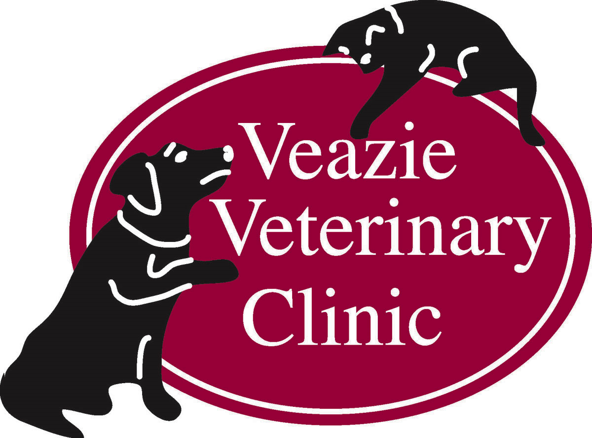 Veazie Vets(1)